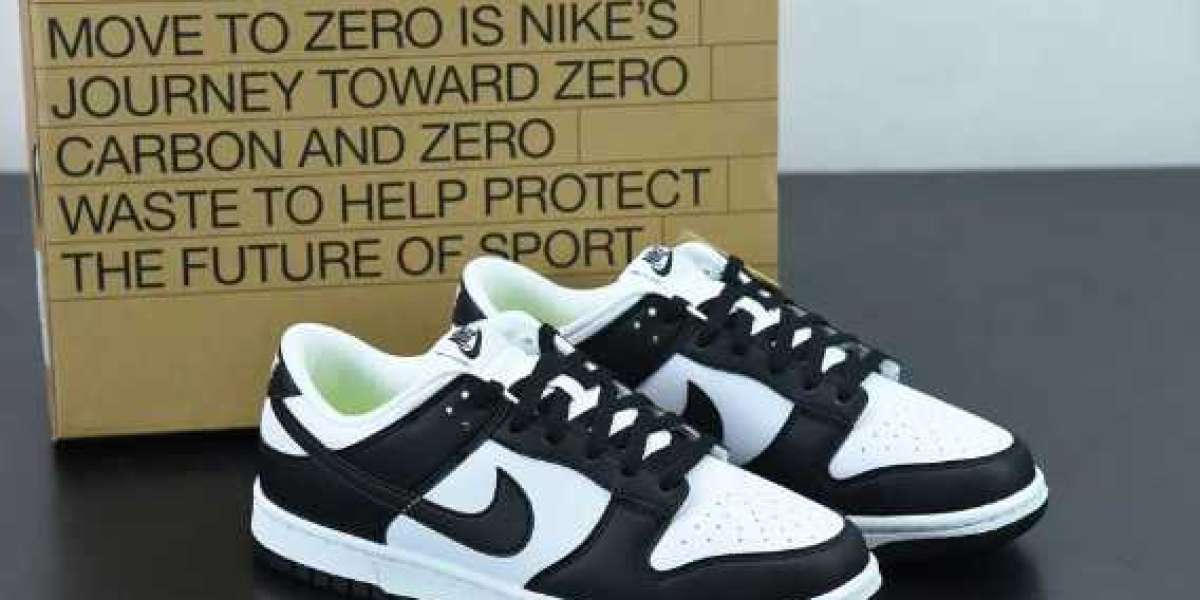 Nike Dunk Next Nature: Classic Sneaker Eco